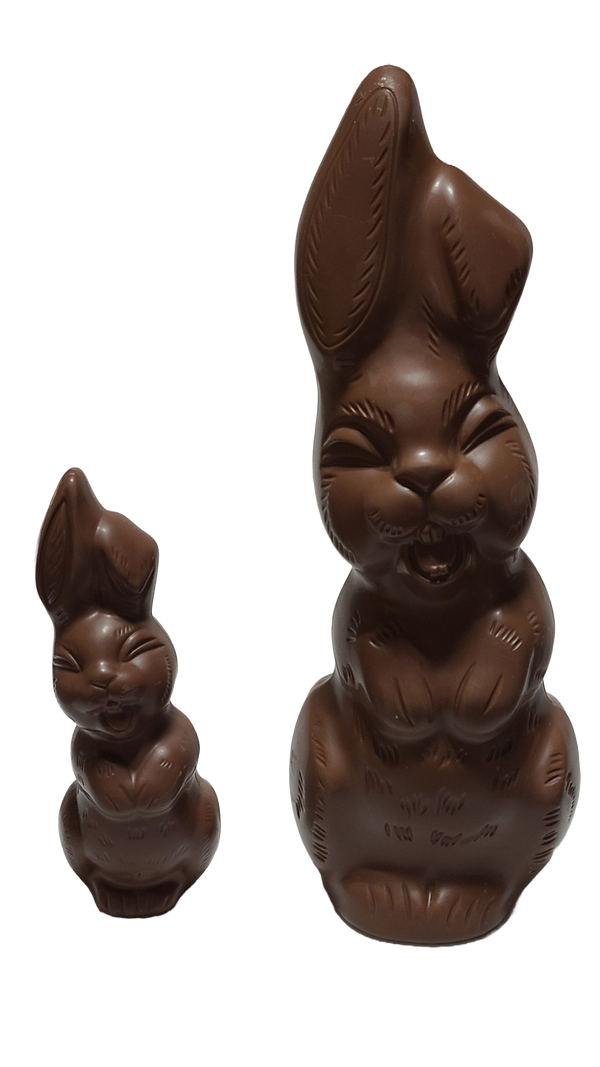 Chocolate Bunny - Medium